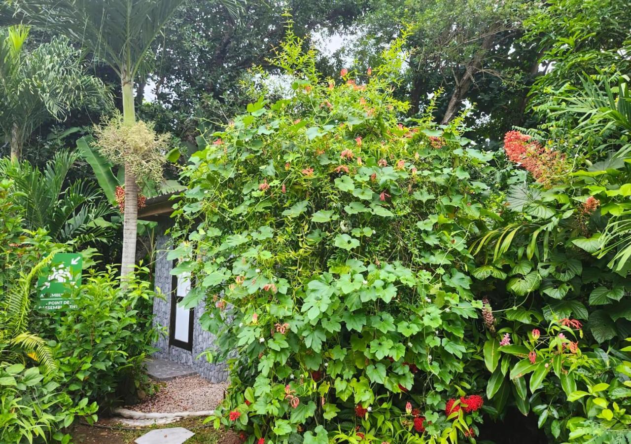 Buisson Guesthouse La Digue Eksteriør bilde