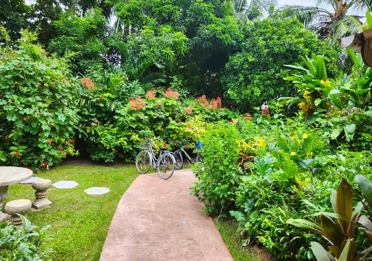 Buisson Guesthouse La Digue Eksteriør bilde